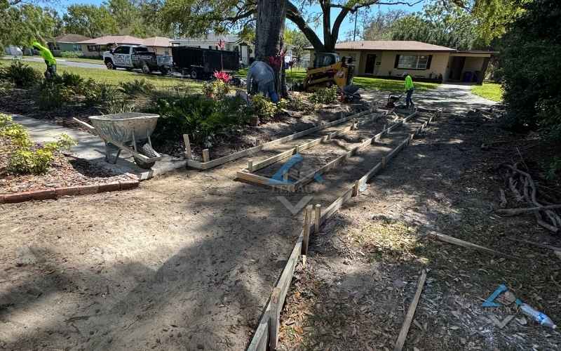 A Cracked Driveway and Intrusive Tree Roots